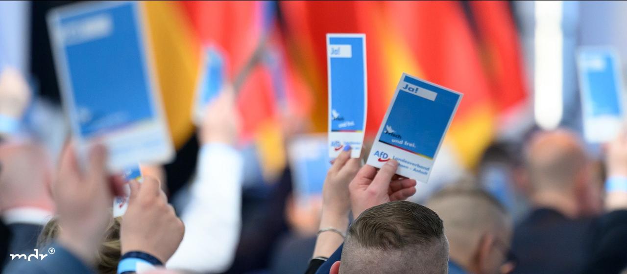 Delegates vote at the AfD Saxony-Anhalt state party conference in Magdeburg.