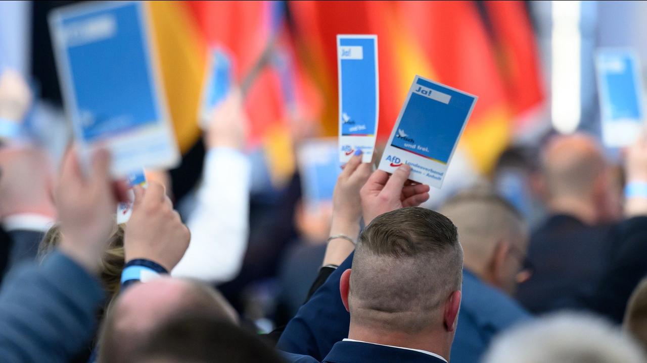 AfD Sachsen-Anhalt will Wahlprogramm beschließen