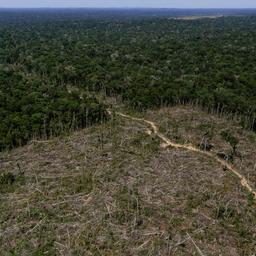 Luftaufnahme von abgeholzte Zonen im Amazonasgebiet in Brasilien