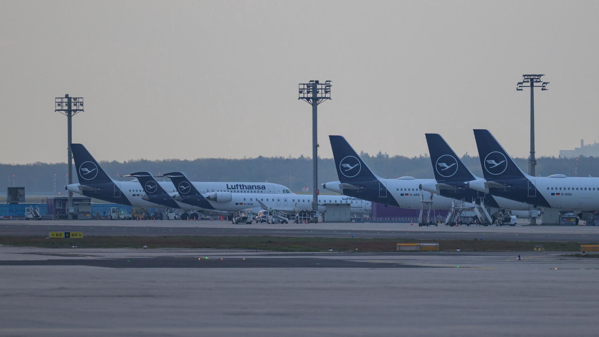 Flieger der Lufthansa parken am Frankfurter Flughafen. | Hannes P. Albert/dpa