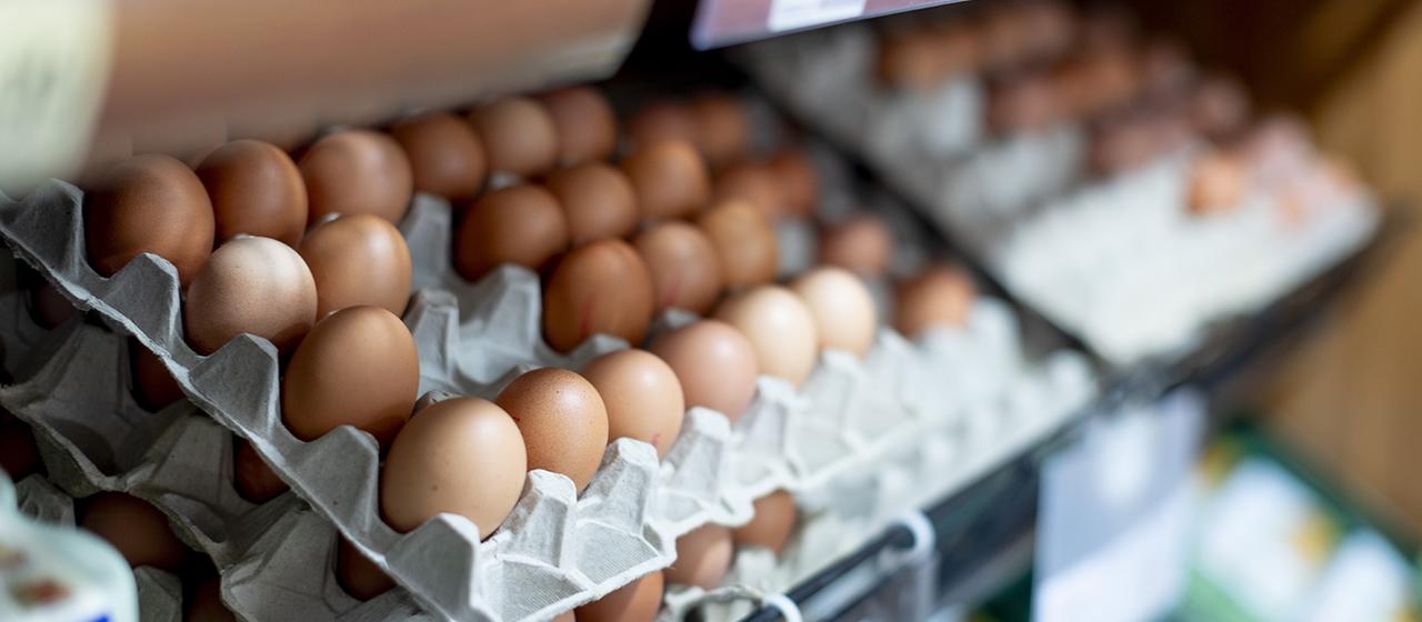 Eier liegen in einem Supermarktregal.