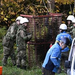 Mitglieder der japanischen Selbstverteidigungsstreitkräfte (JSDF) stellen in Kazuno eine Bärenfalle auf. 