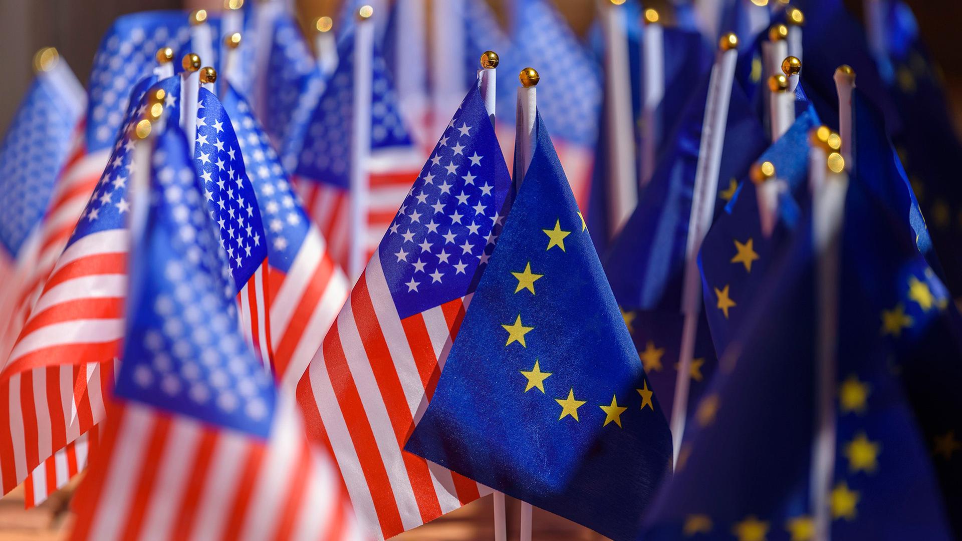 US- und EU-Flaggen | Allegemines