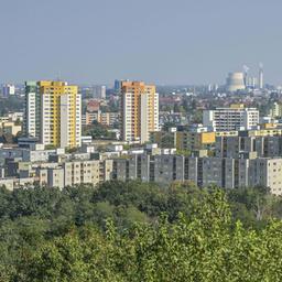 Archivbild: Siedlung Heerstraße Nord, Magistratsweg, Rudolf-Wissel-Siedlung, Obstallee-Siedlung, Staaken, Spandau, Berlin am 19.09.2024 (Quelle: dpa / imageBROKER/Schoening). 