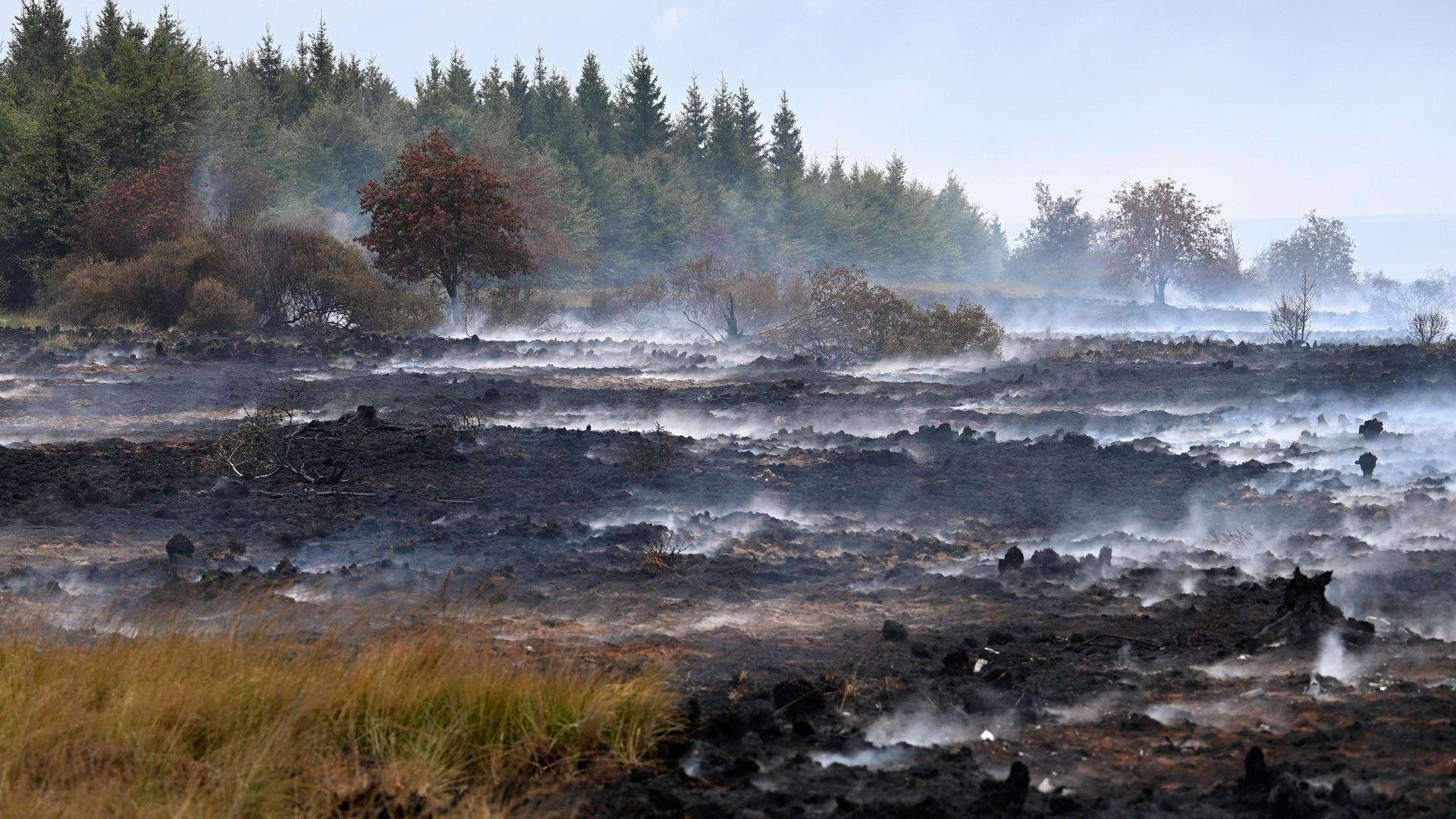 Wie lange brennt es noch - und wie erholt sich das Moor?