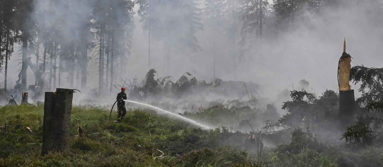 Ein Feuerwehrmann löscht im belgischen Hohen Venn einen Waldbrand.