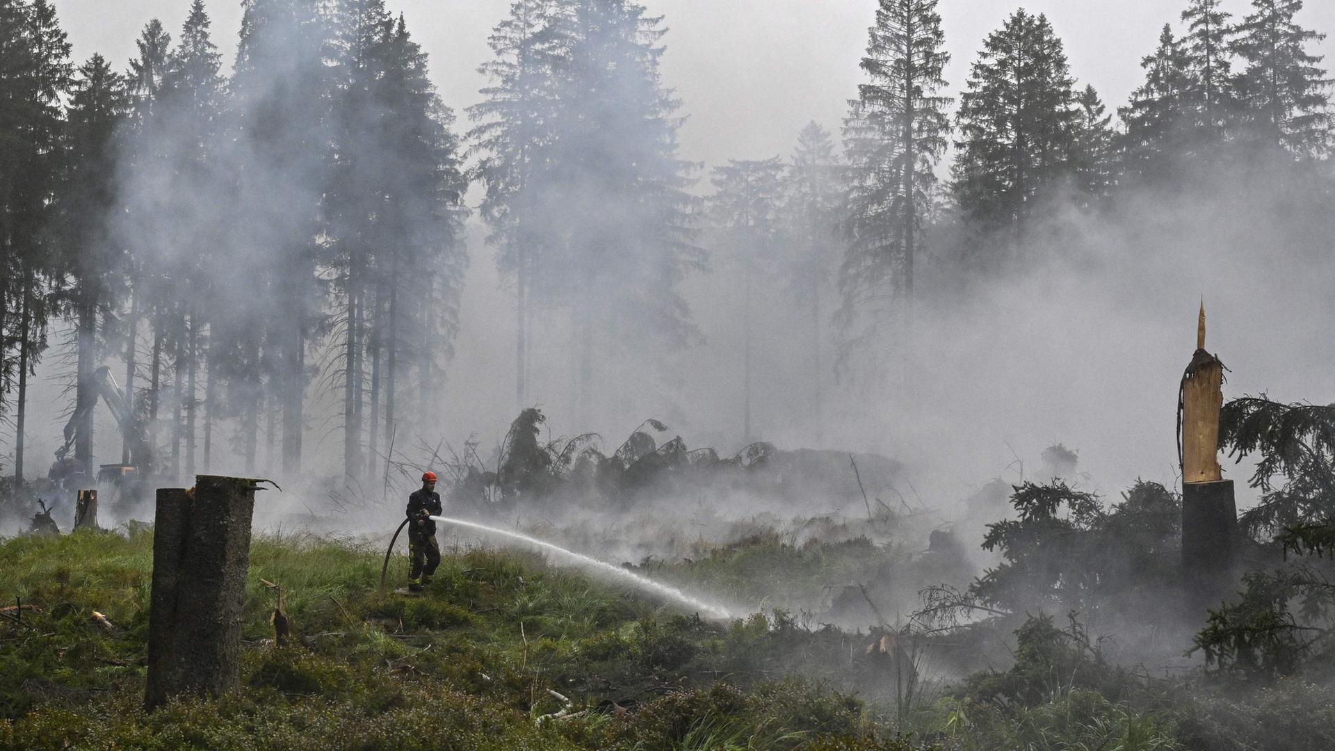 Waldbrand in Belgien weiter nicht unter Kontrolle - Hoffnung auf Regen