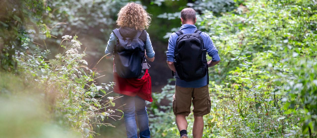 Wanderer gehen durch einen Wald. | picture alliance/dpa Wanderer gehen durch einen Wald.
