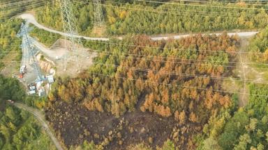 Brandstelle unter einer Stromleitung nach Waldbrand in Iserlohn 