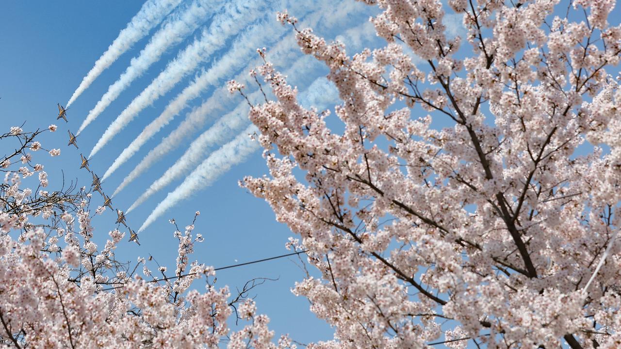 Flugvorführung in Seoul, Schokoeier in Indien, Ochsenkarrenrennen