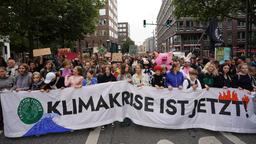 Demonstration von Fridays for Future in Hamburg (Archivbild)