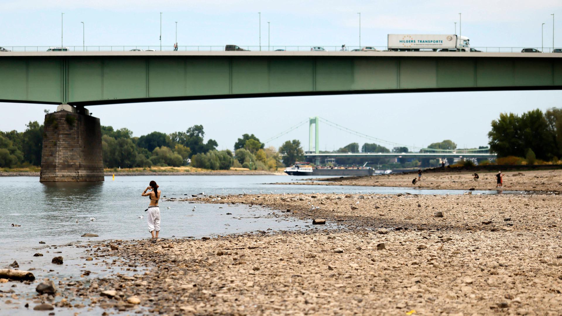 Rheinpegel: "So wenig Wasser wie diesen Sommer hatte der Rhein noch nie"