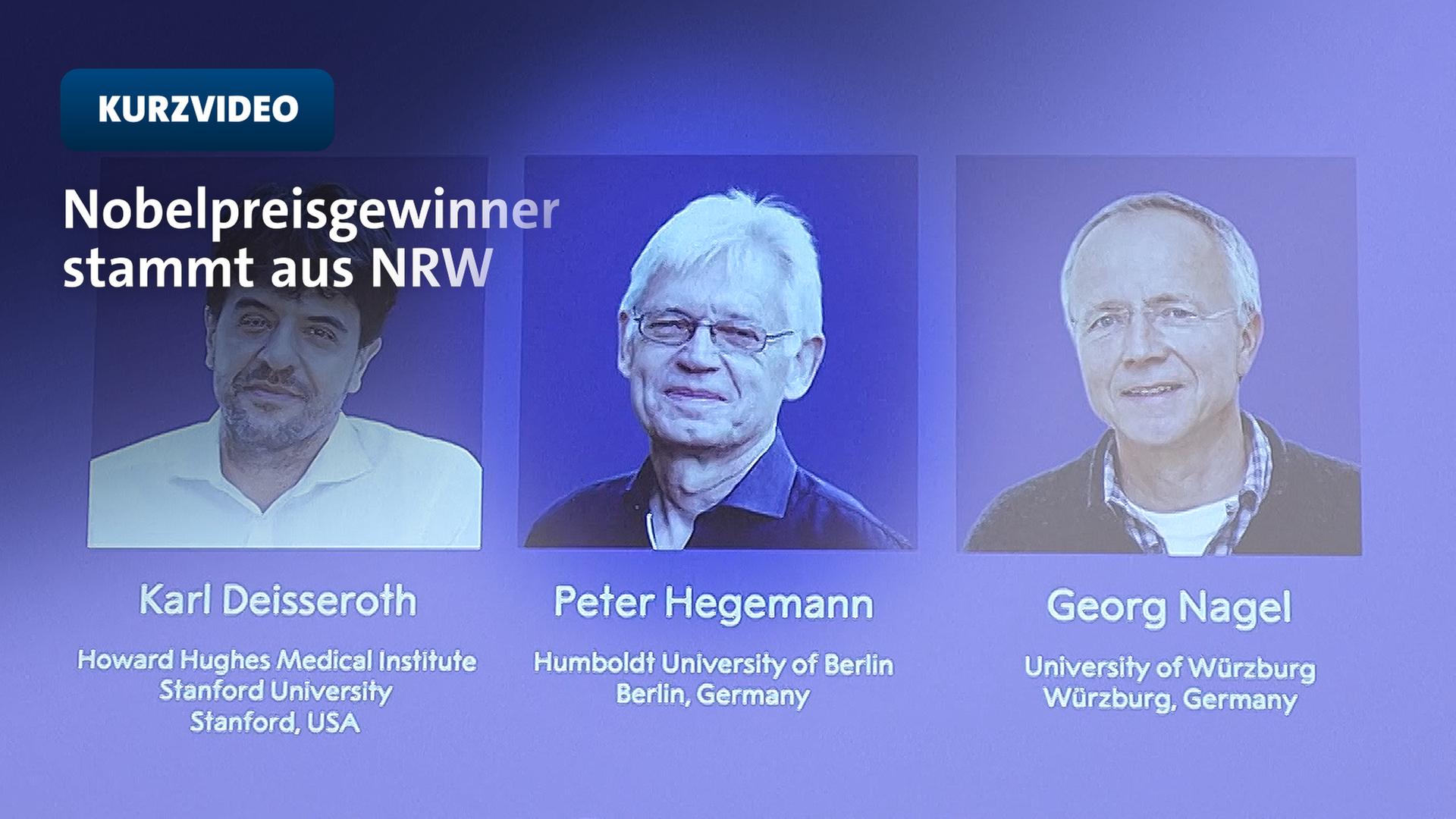 Gebürtiger Münsteraner gewinnt Medizin-Nobelpreis