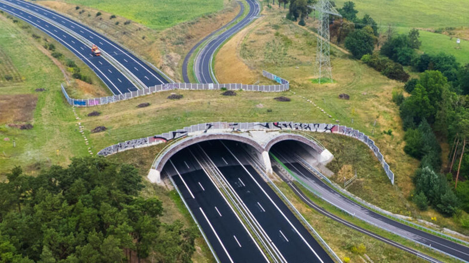 Grünbrücke an gesperrter B101 bei Thyrow muss nicht abgerissen werden