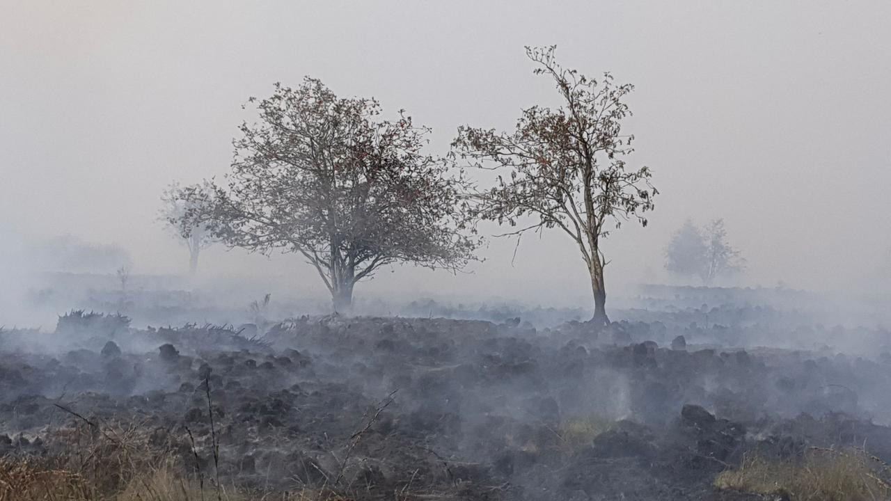 Grenzregion bei Monschau in NRW: Waldbrand in Belgien rückt immer näher