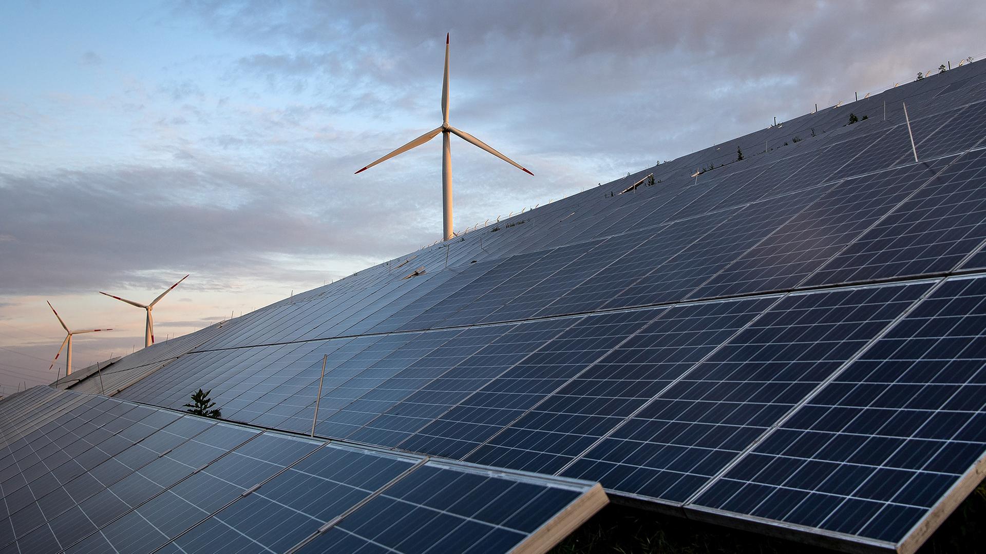 Windräder sind hinter einer Photovoltaikanlage zu sehen. | dpa