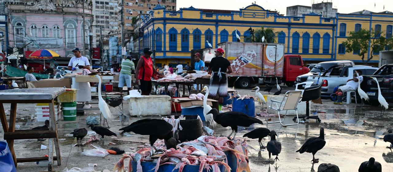 Ver-o-Peso-Markt in Belém in Brasilien