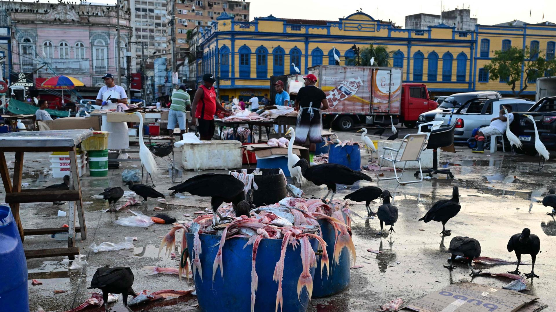 Ver-o-Peso-Markt in Belm in Brasilien | AFP