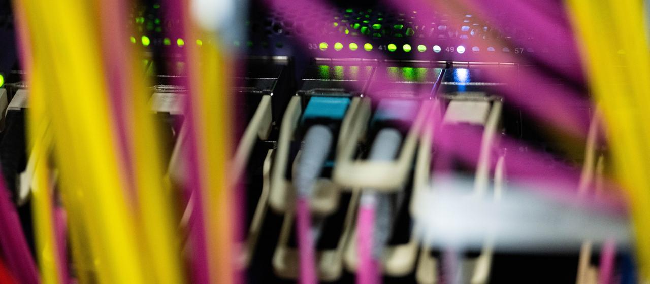 Netzwerkkabel sind in einem Rechenzentrum zu sehen.