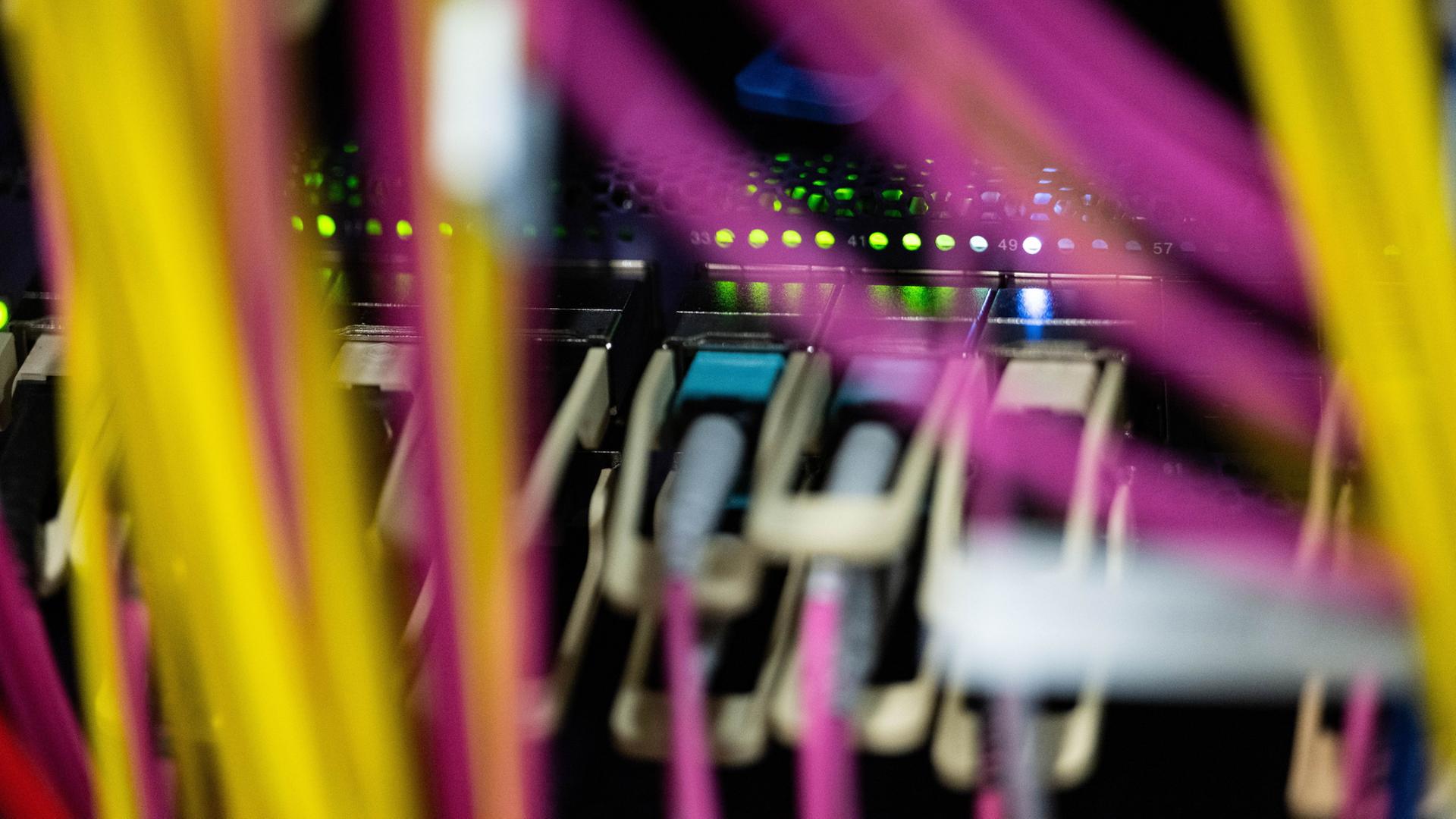 Netzwerkkabel sind in einem Rechenzentrum zu sehen. | Marijan Murat/dpa