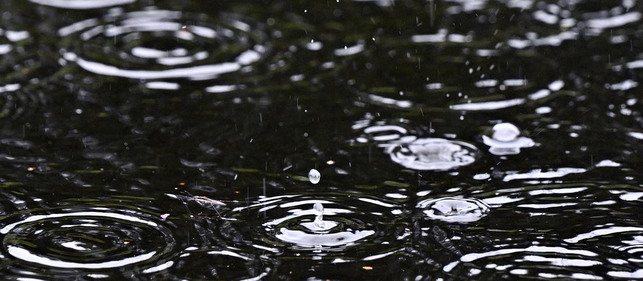 Regentropfen fallen in einen Teich. | dpa Regentropfen fallen in einen Teich.