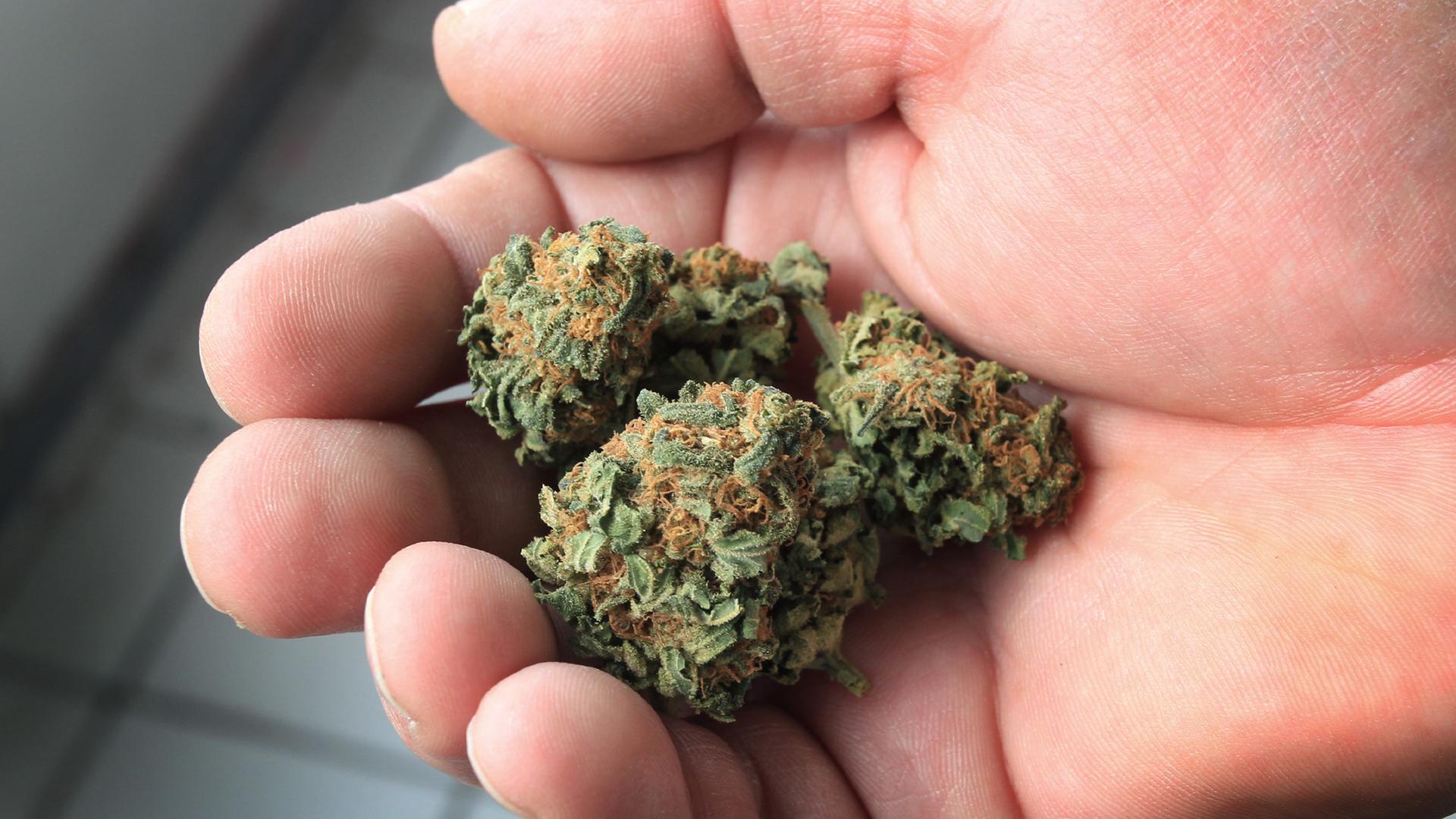 Krankenkassen bezahlen Cannabisblüten nicht mehr - was bedeutet das für Betroffene?