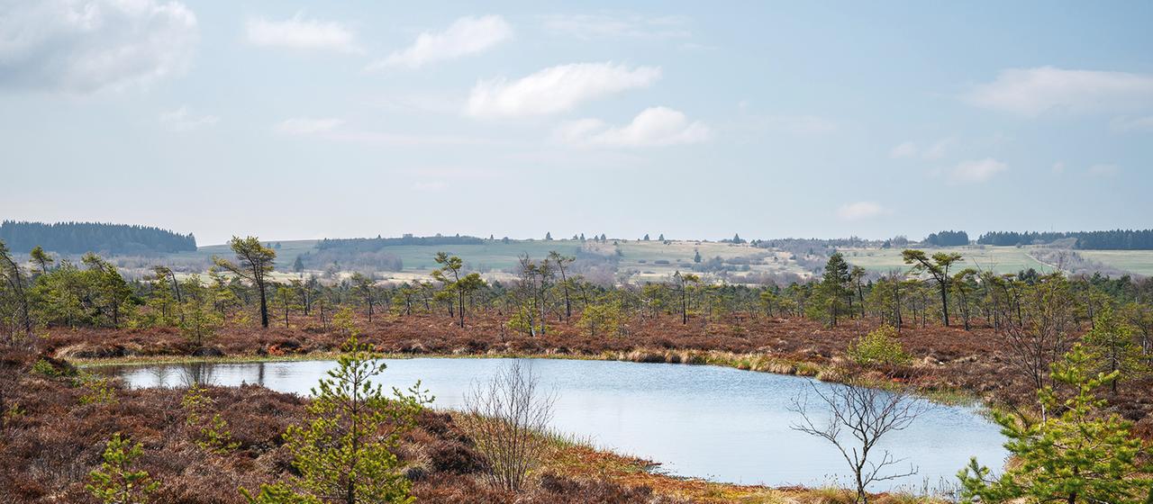 Das Moorauge, eine Wasserstelle im Schwarzen Moor | picture alliance/dpa Das Moorauge, eine Wasserstelle im Schwarzen Moor