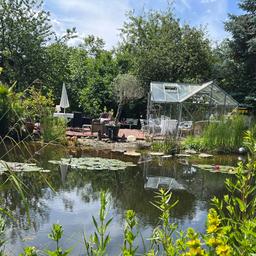 Hinter einem Gartenteich ist eine gepflasterte Terrasse mit Gartenstühlen, einem Sonnenschirm und Gewächshaus.