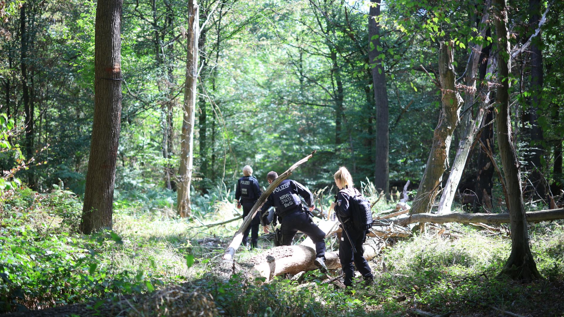 PolizeikrÃ¤fte durchsuchen ein WaldstÃ¼ck bei einem GroÃeinsatz am Hambacher Forst. | Christoph Reichwein/dpa