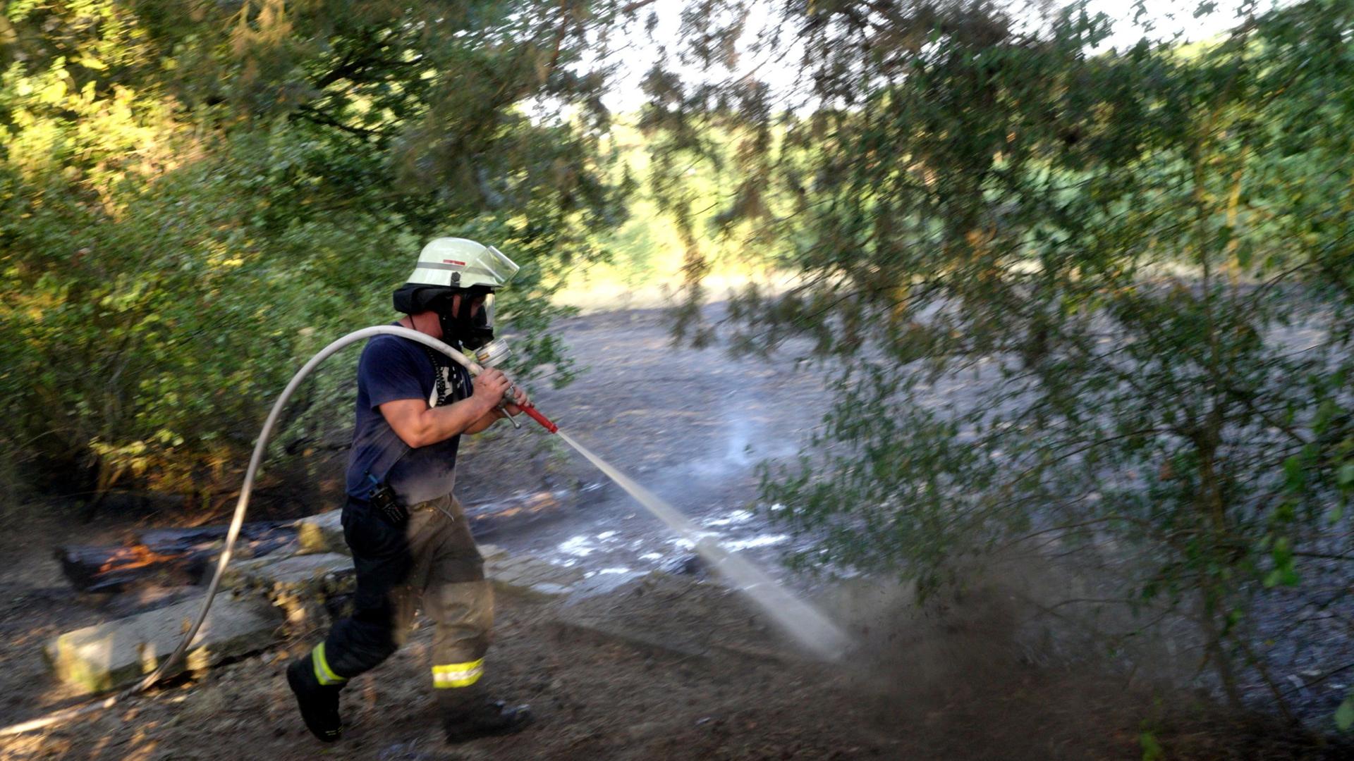  Ein Feuerwehrmann löscht einen Brand in einem Waldstück in Lingen, Niedersachsen. | Simon Harms/dpa