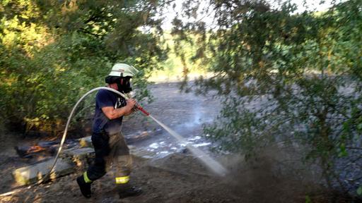 Ein Feuerwehrmann löscht einen Brand in einem Waldstück in Lingen, Niedersachsen.