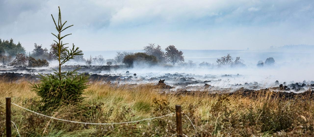 Rauch schwebt über der verbrannten Landschaft im Naturschutzgebiet Hohes Venn.