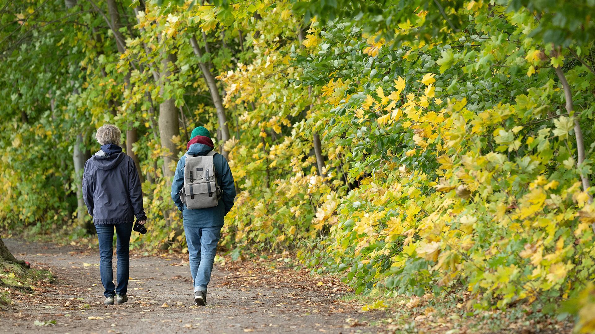 Passanten gehen durch ein herbstlich gefärbtes Waldstück. | dpa