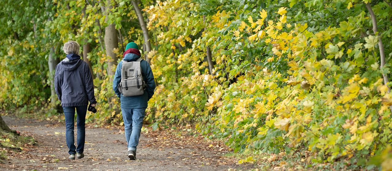 Passanten gehen durch ein herbstlich gefärbtes Waldstück.