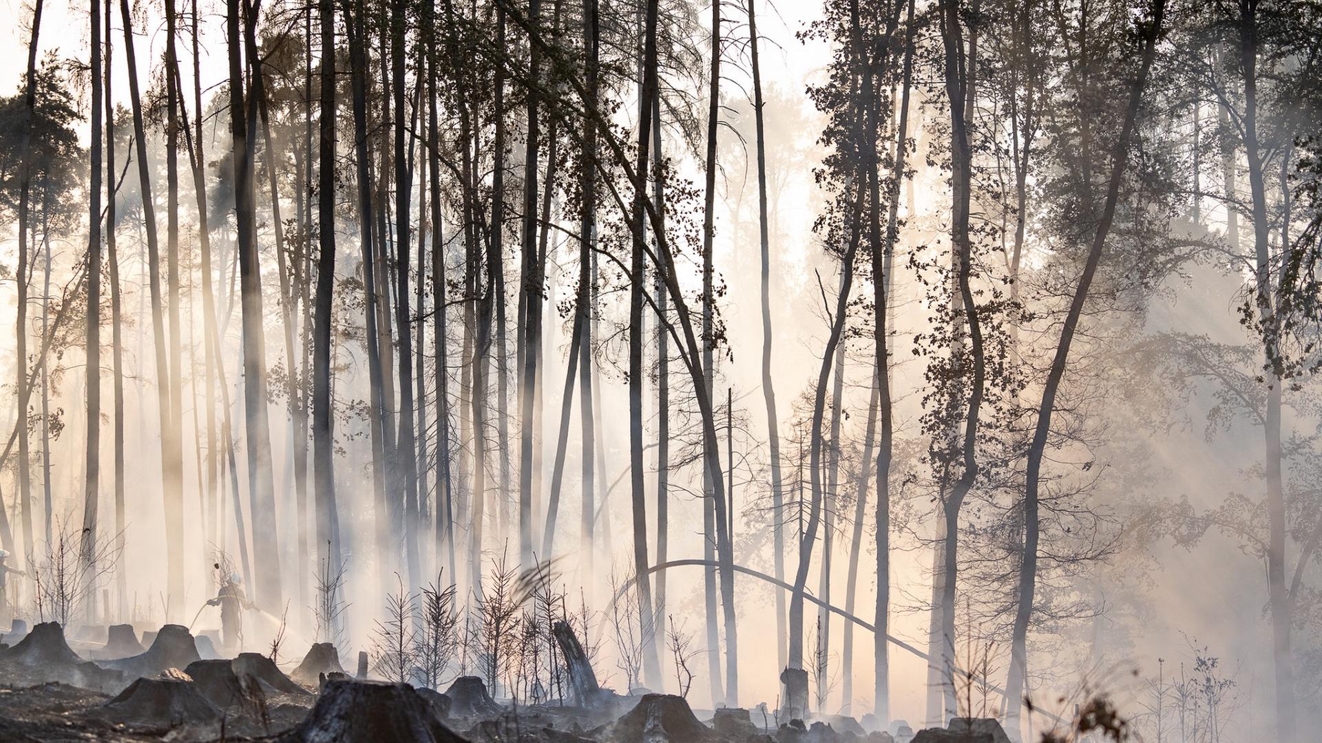 Nach Waldbrand bei Ottweiler: Feuerwehr weiter im Einsatz
