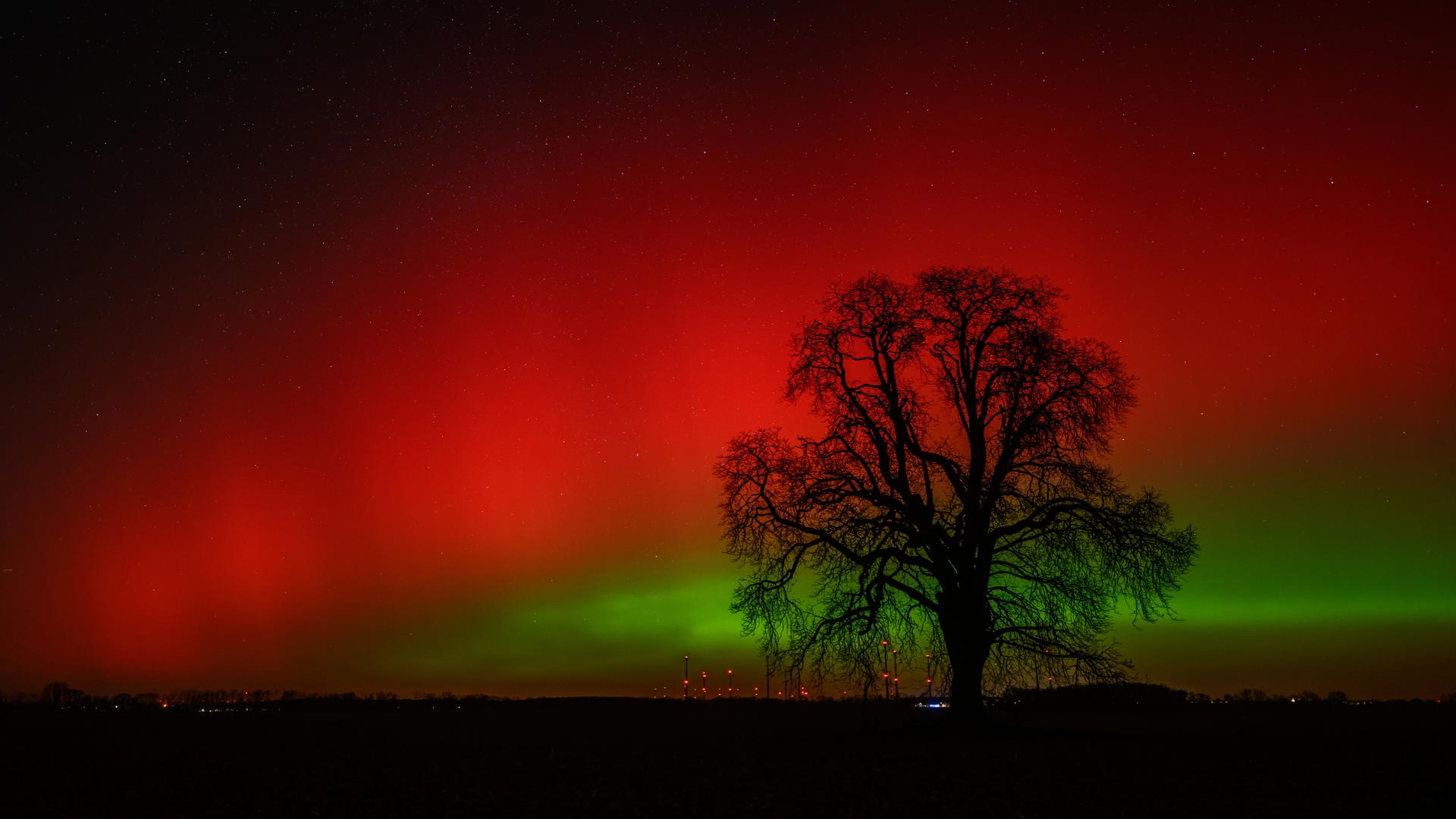 Polarlichter leuchten am Nachthimmel Ã¼ber der Landschaft im Ã¶stlichen Brandenburg. | dpa