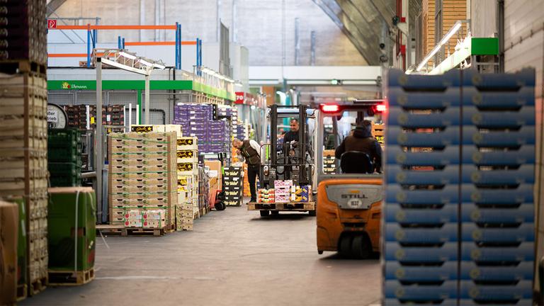 Händler sind am frühen Morgen auf dem Hamburger Großmarkt unterwegs.