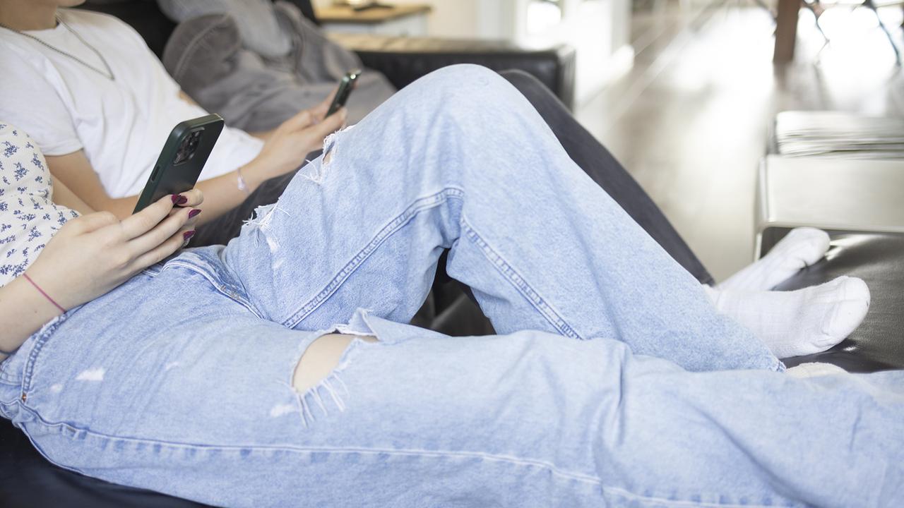 Demokratie-Studie-Populisten-dominieren-Social-Media