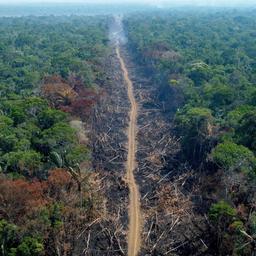 Brandrodung im Regenwald in Brasilien 