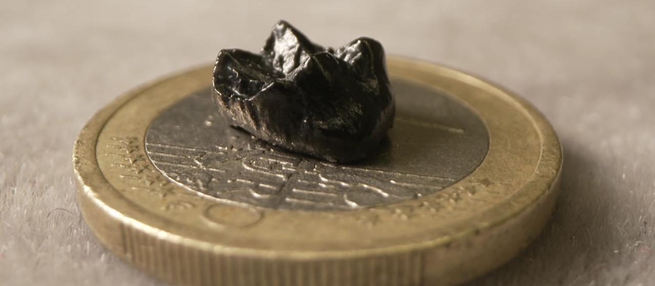 Ein schwarzer Zahn liegt auf einer Euro-Münze. | V. Simon, SWR Ein schwarzer Zahn liegt auf einer Euro-Münze.