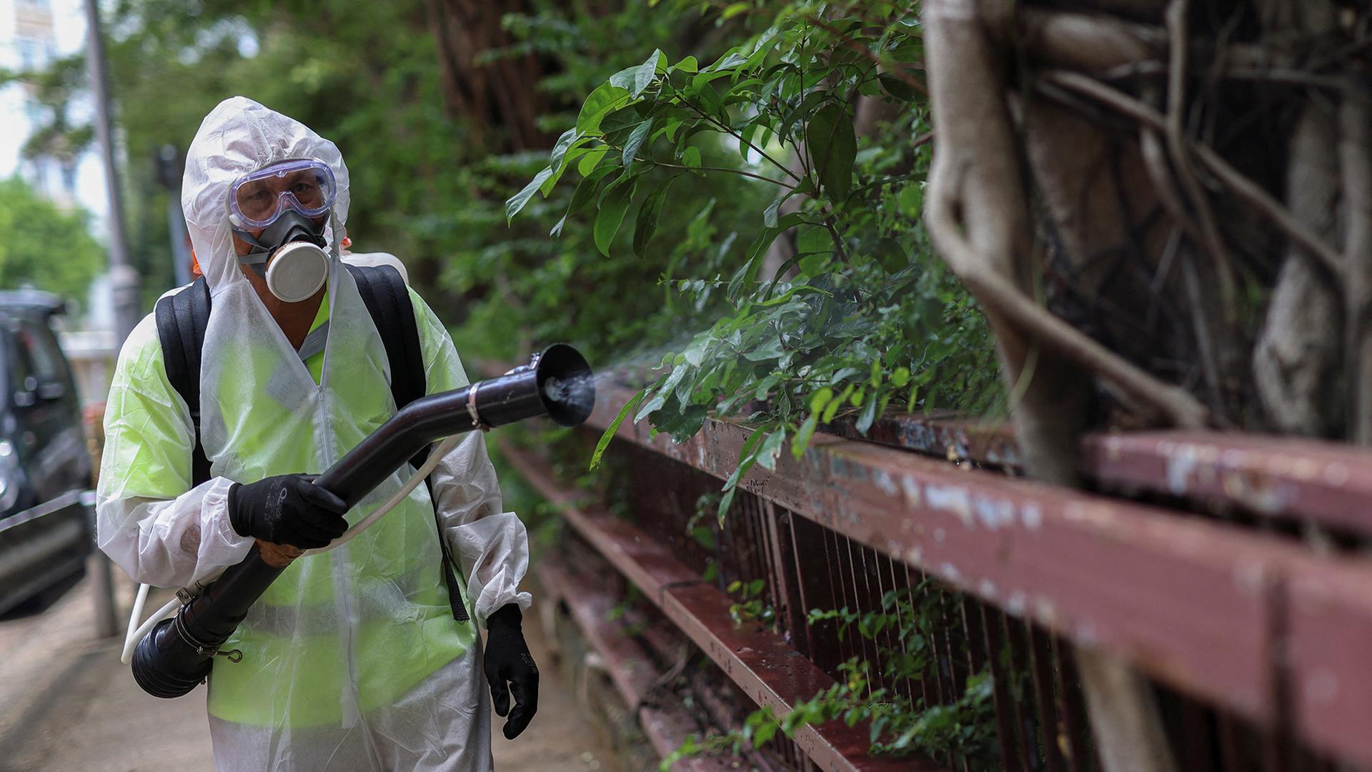 Chikungunya-Virus breitet sich in China weiter aus