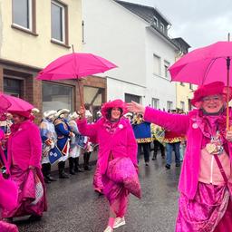 Frauen in pinken Kostümen mit pinken Regenschirmen beim Veilchendienstagsumzug 2026 im Neuwieder Stadtteil Heimbach-Weis
