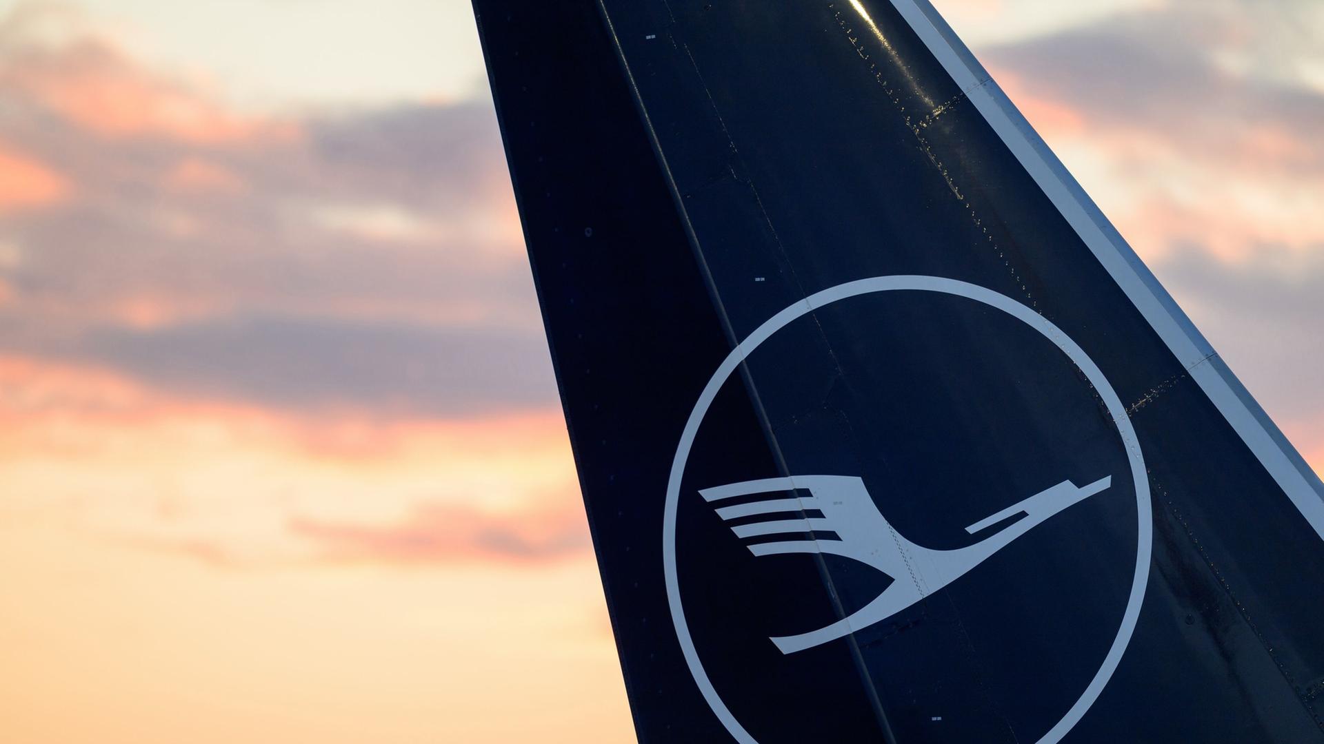 Blick auf eine Heckflosse einer Lufthansa Maschine am Frankfurter Flughafen | picture alliance/dpa | Hannes P Albert