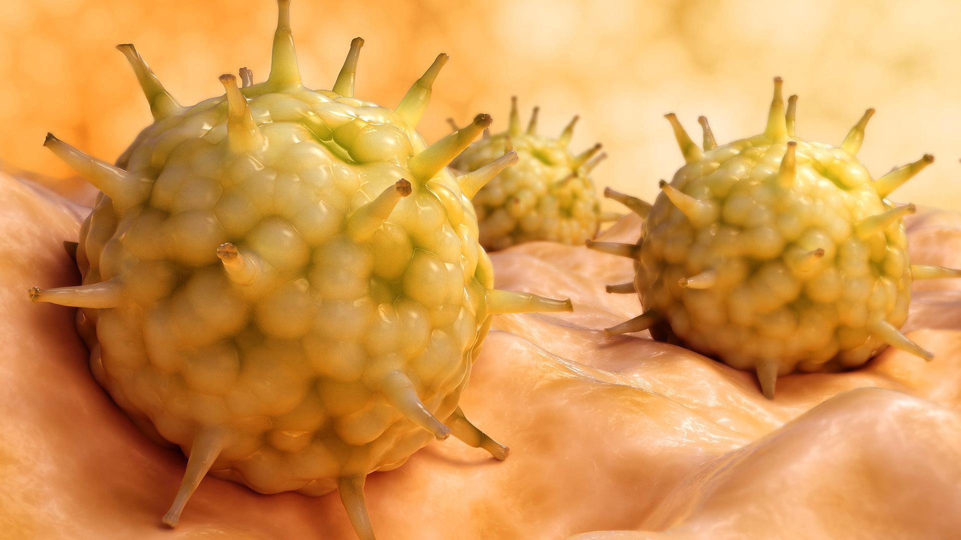 Image for Neuer Influenza-Subtyp: Was in dieser Grippesaison zu erwarten ist