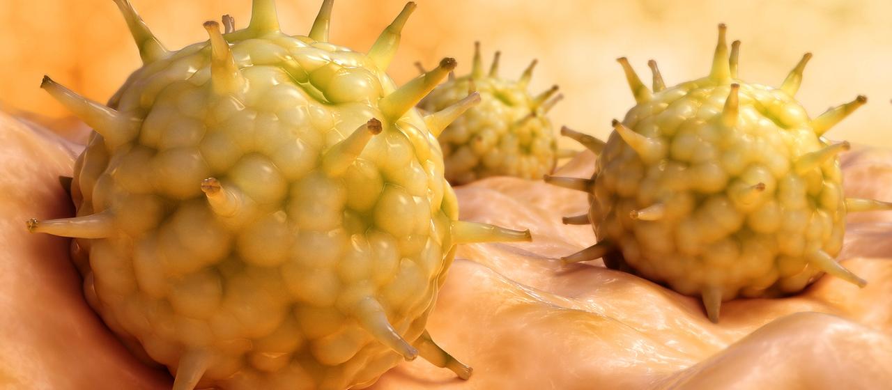 Darstellung des Influenzavirus