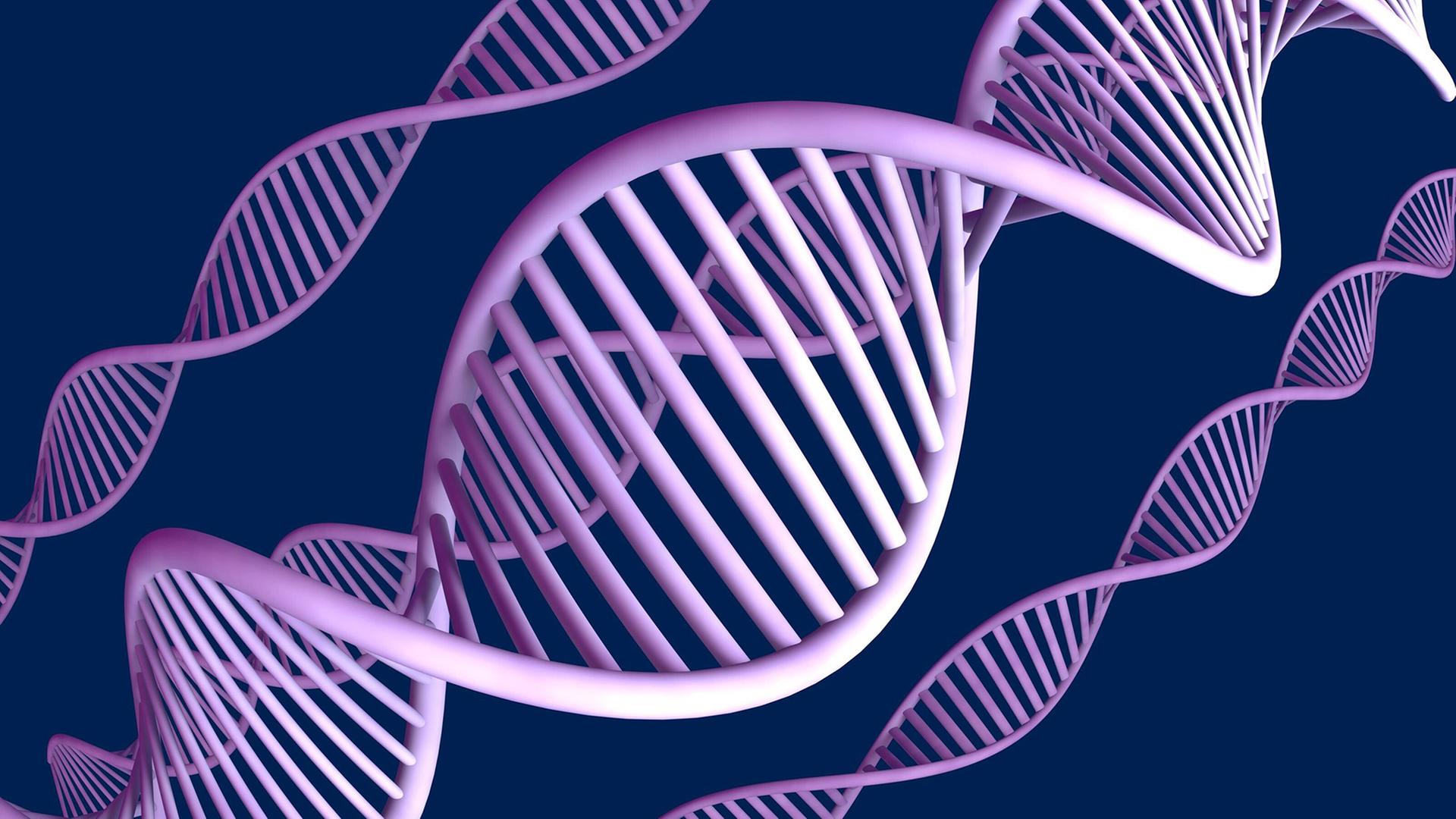 KI AlphaGenome verbessert unser Verständnis der Gene