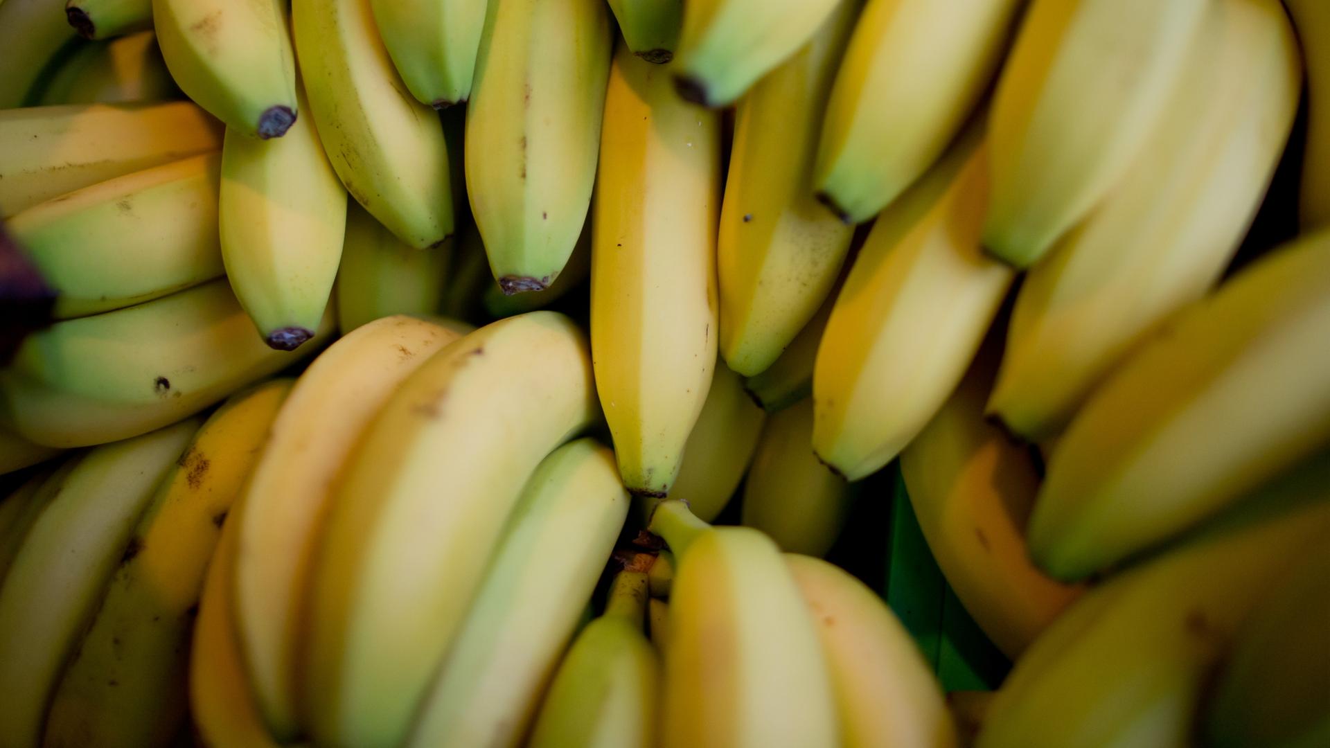 Bananen liegen in einer Supermarktkiste | dpa
