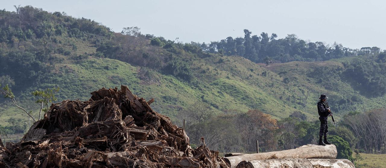 Brasilien, Rondonia: Auf diesem vom brasilianischen Umweltinstitut zur Verfügung gestelltes Bild bewacht ein Soldat Bäume, die illegal gefällt wurden.