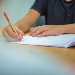 Forschung und Studien