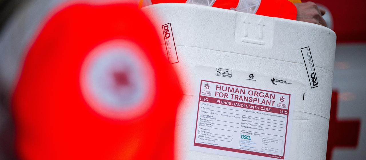 Ein Mensch in reflektierender Arbeitskleidung hält eine Kühlbox für Organtransplantationen.